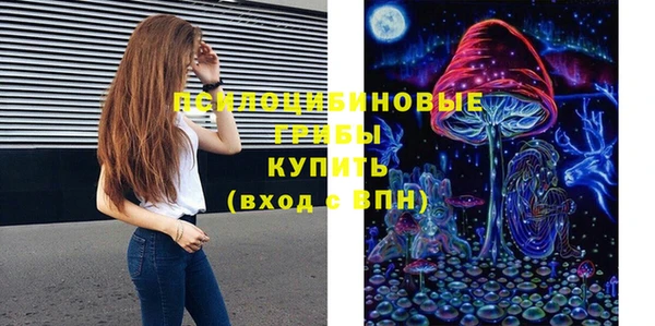 спиды Алексин