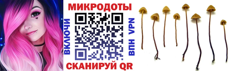 Псилоцибиновые грибы Psilocybine cubensis  Хотьково 